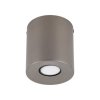 Nowoczesna oprawa sufitowa tuba brązowa reflektor spot minimalistyczna uniwersalna klasyczna ORION M 11341 TK-Lighting